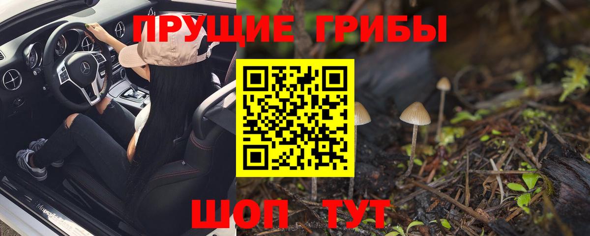 Псилоцибиновые грибы ЛСД  хочу   Видное  Вход с VPN  Псилоцибиновые грибы GOLDEN TEACHER 